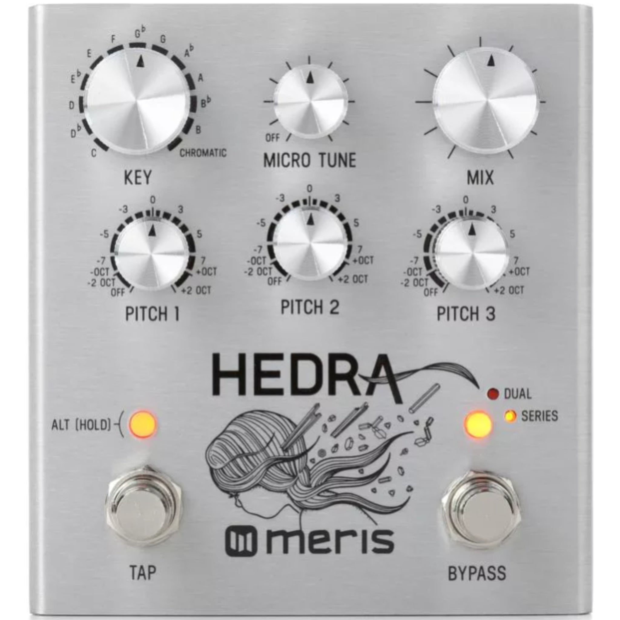 MERIS HEDRA