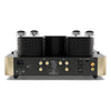 Fezz Audio Titania MK2 Tube Power Amp - Sunlight - Rear View