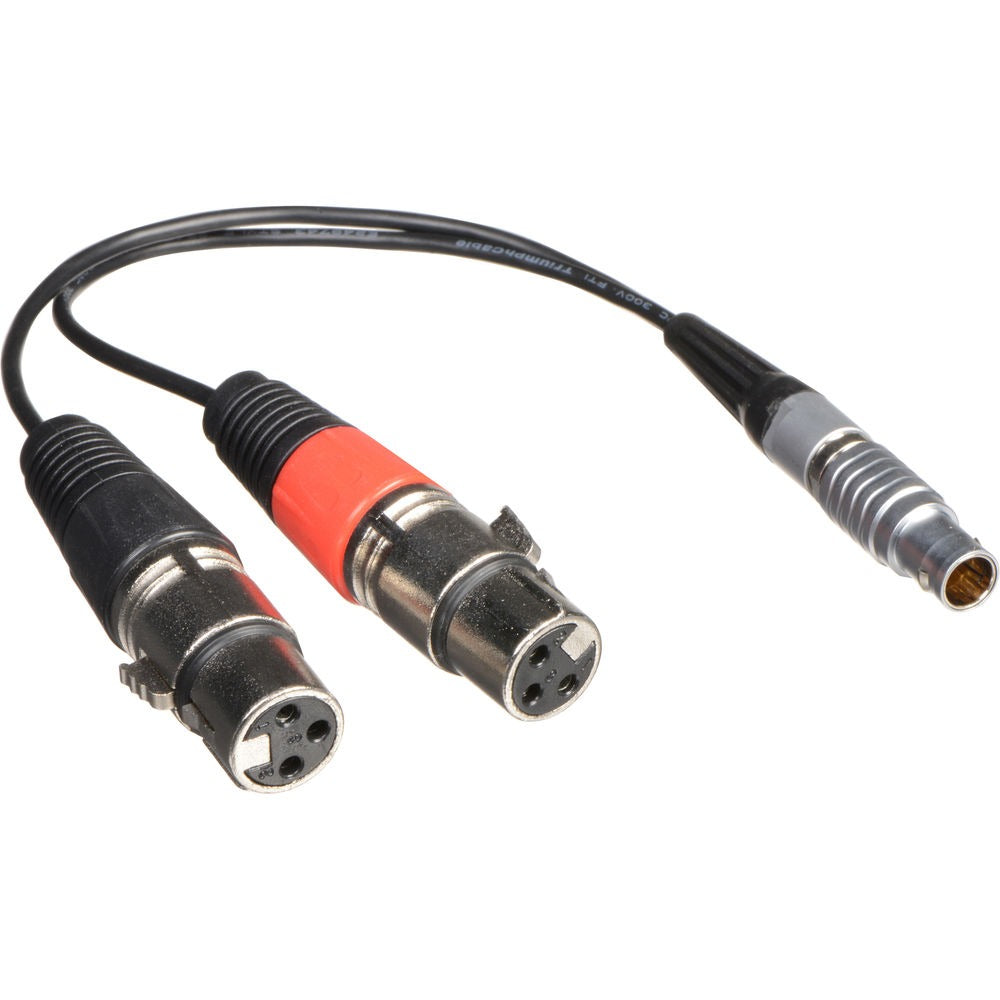 Câble épanoui Atomos XLR Entrée uniquement