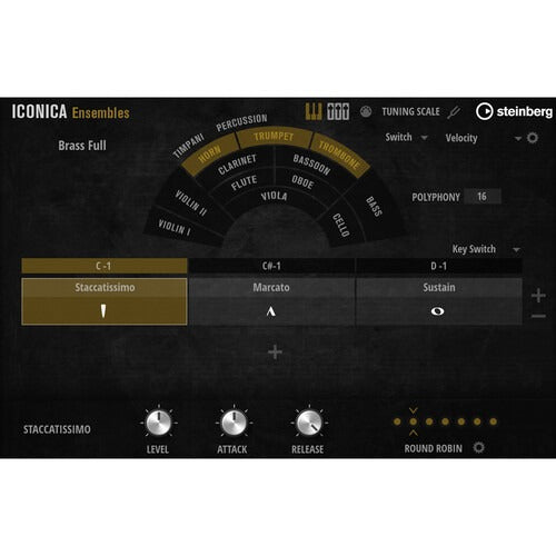 Steinberg  Iconica Ensembles