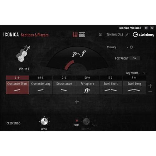 Steinberg  Iconica Sections & Players