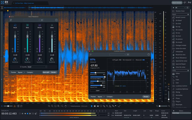 iZotope RX 11 Standard