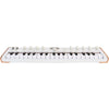 Arturia Astrolab 37 - Slim-Key Stage Keyboard