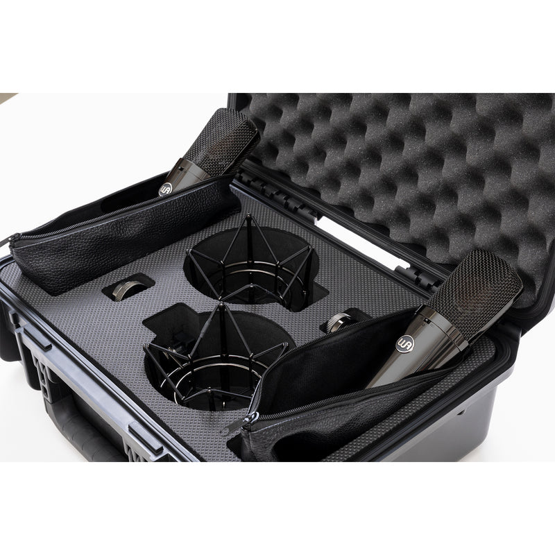 Warm Audio WA87-R2-TS Titanium Microphones Stereo Pair