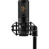 Shure KSM32C/SM Cardioid Condenser Microphone - Studio Kit