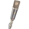 Microphone à condensateur à grand diaphragme Neumann TLM 67 Set Z