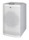 HK Audio Polar12 MKII Powered Column Speaker System - White