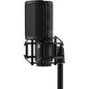 Shure KSM44MP Dual Diaphragm Multi-Pattern Condenser Microphone