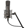 Warm Audio WA87-R2-TS Titanium Microphones Stereo Pair