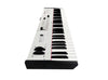 Kodamo Mask1 Polyphonic Bitmask Keyboard Synthesizer