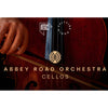 Spitfire Audio Abbey Road Orchestra: Cellos Professional
