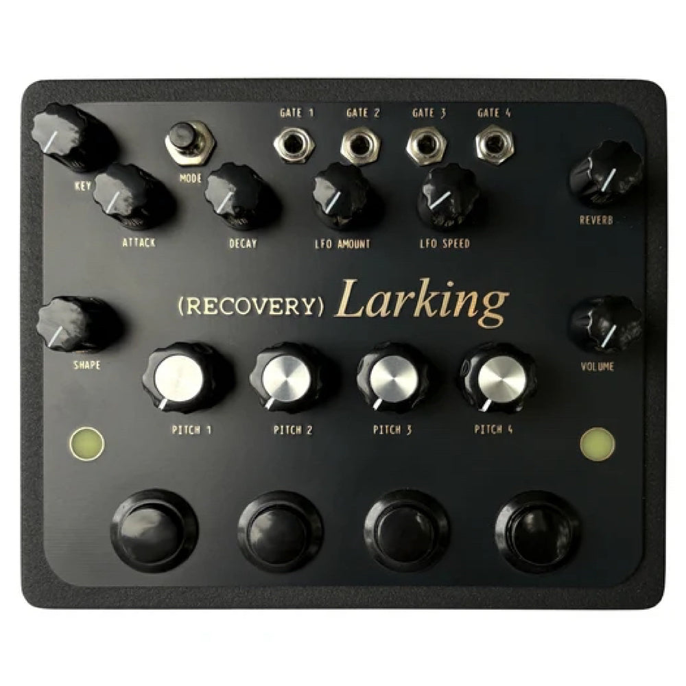 Recovery Larking - 4-Voice Ambient Drone Synth - Black