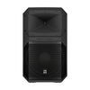 Electro-Voice EVIVA-15P 15in 2-Way Powered Speaker 1000W 90X60 - Black