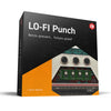 Ik Multimedia  Lo-Fi Punch - T-RackS Modules