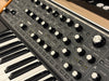 Moog Music Subsequent 37 Synthesizer with 37-Key Keyboard