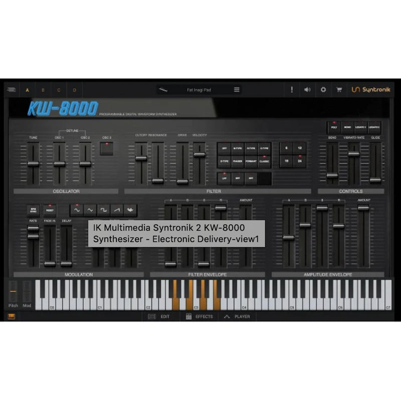 Ik Multimedia Syntronik 2 Korg DW-8000