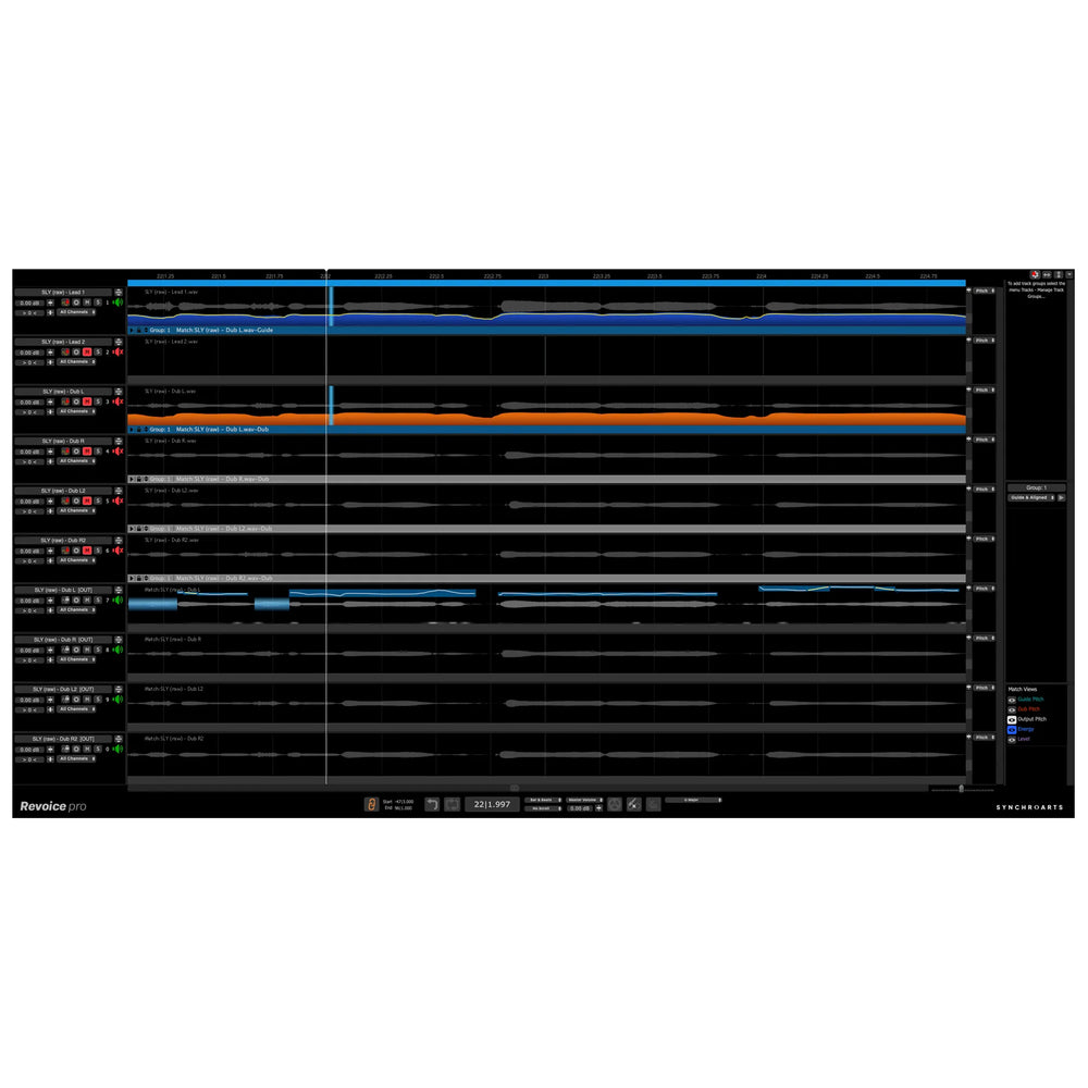 Synchro Arts Revoice Pro 5 Crossgrade