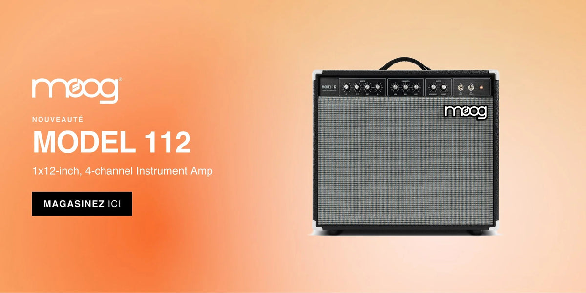 Moog Amps