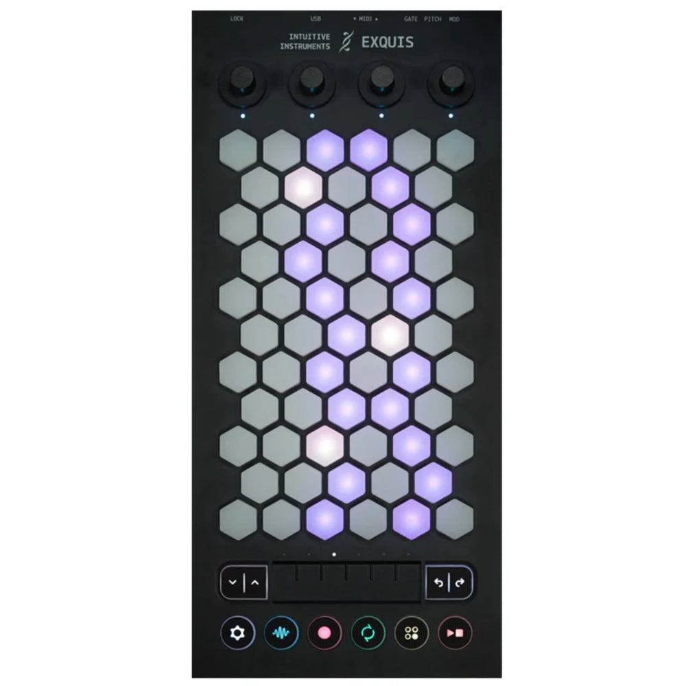 Intuitive Instruments Exquis Hexagonal MPE MIDI Controller