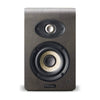 Focal Shape 40 Noyer (Démo)