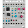 ALM SQUID SALMPLE