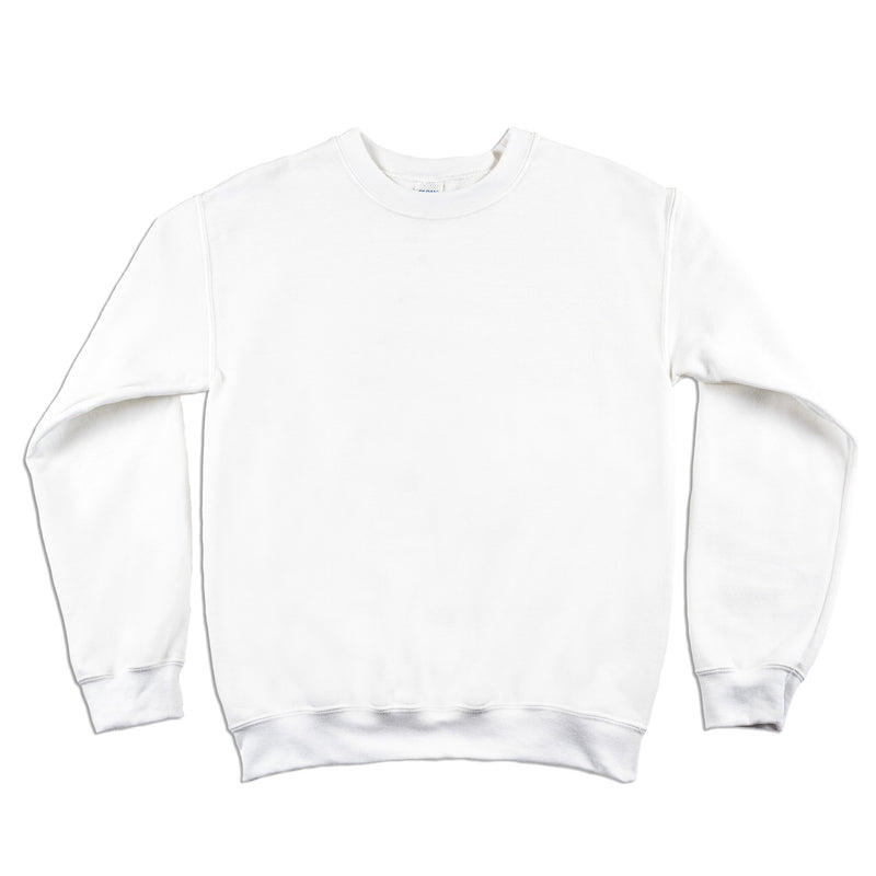 MOOG AUDIO WHITE CREWNECK PICKLE XXLARGE