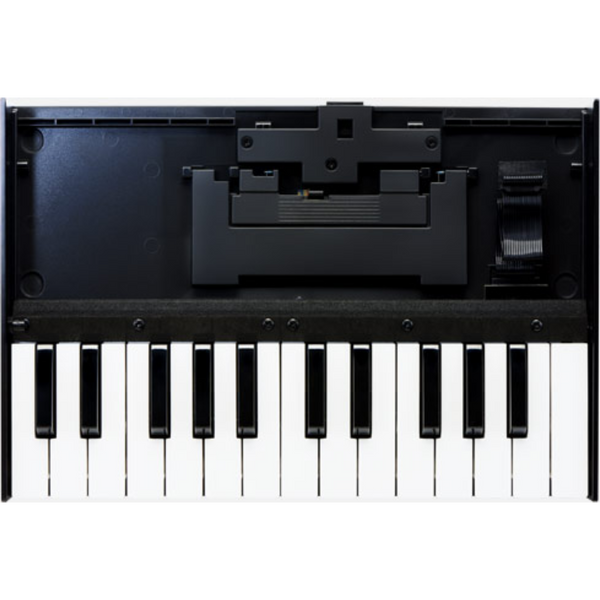 Roland Boutique K-25M Portable KeyBoard