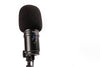 Zoom ZUM-2 Podcast Mic